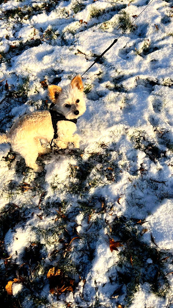 mathilda_bergs image ~ Altpins