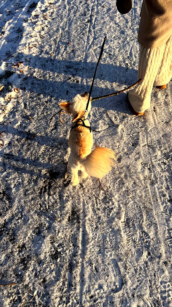 mathilda_bergs image ~ Altpins