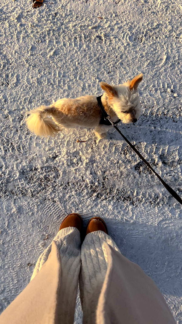 mathilda_bergs image ~ Altpins