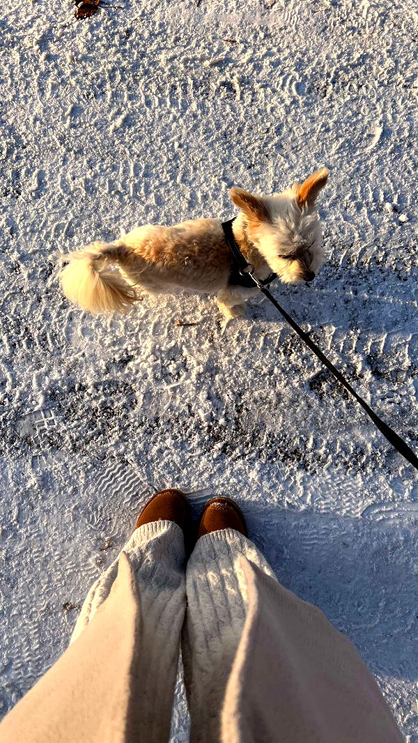 mathilda_bergs image ~ Altpins