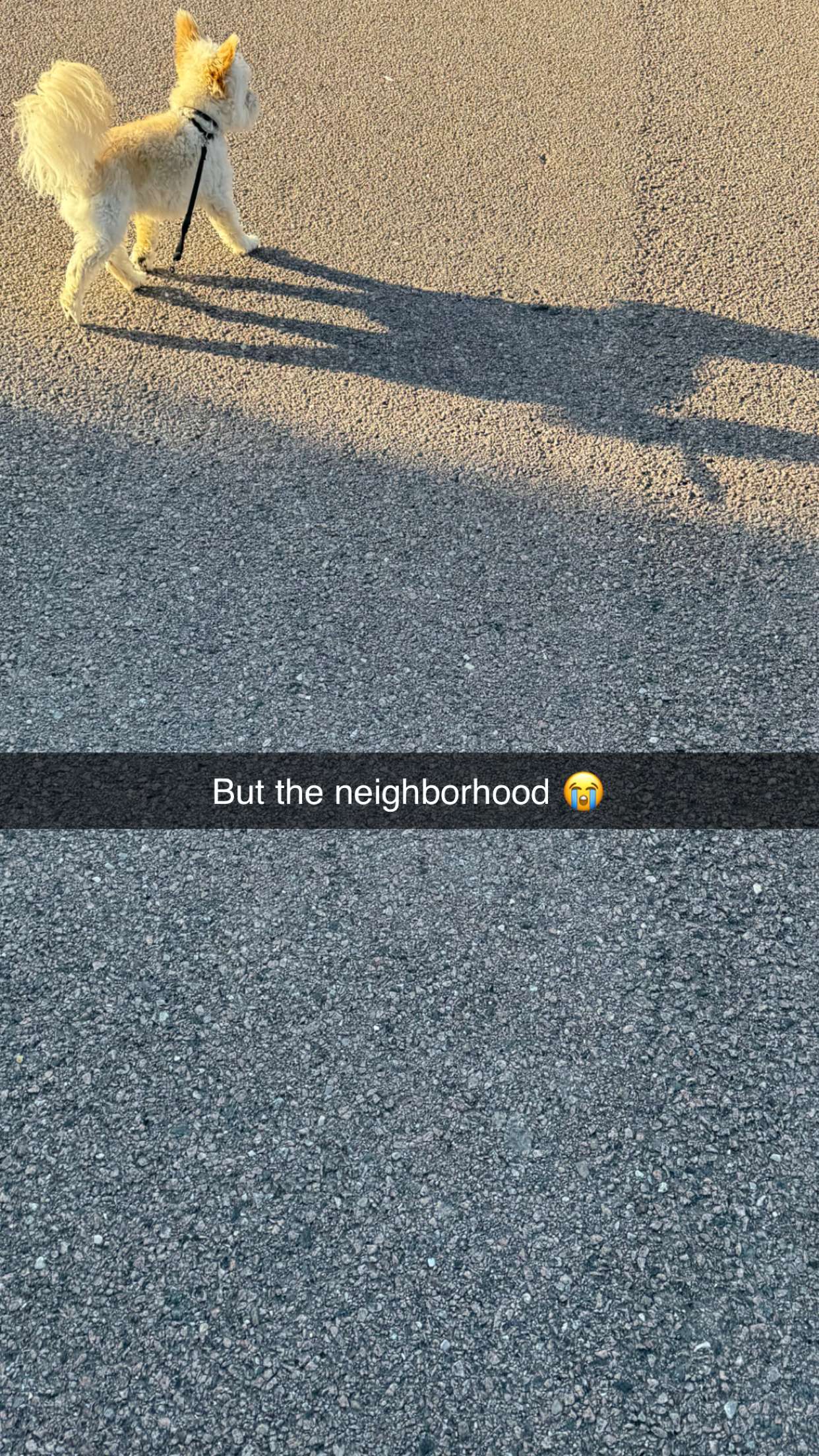 mathilda_bergs snapchat image archive image