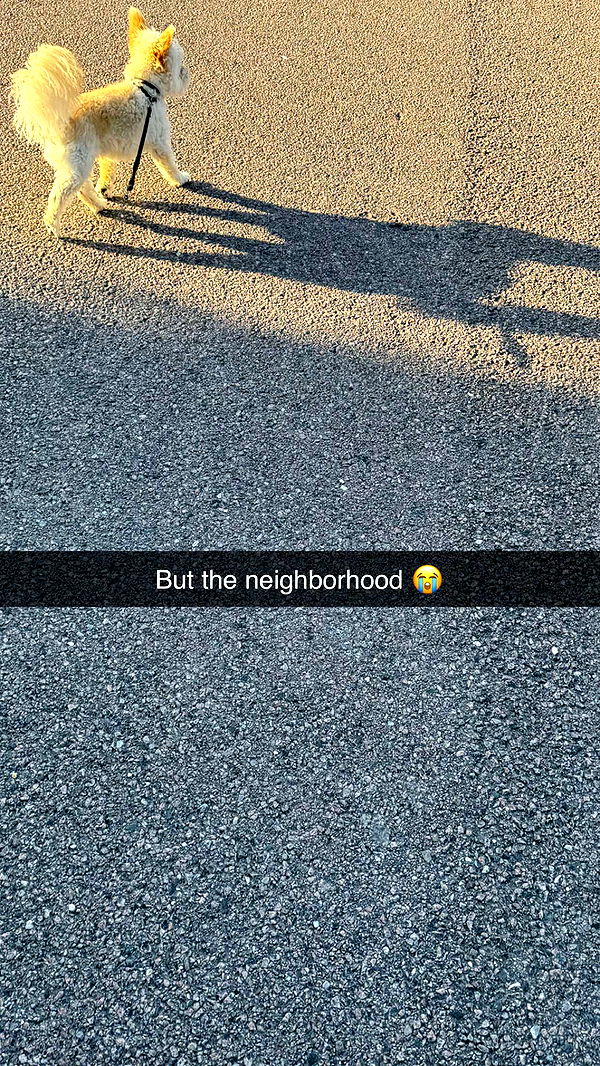 mathilda_bergs image ~ Altpins