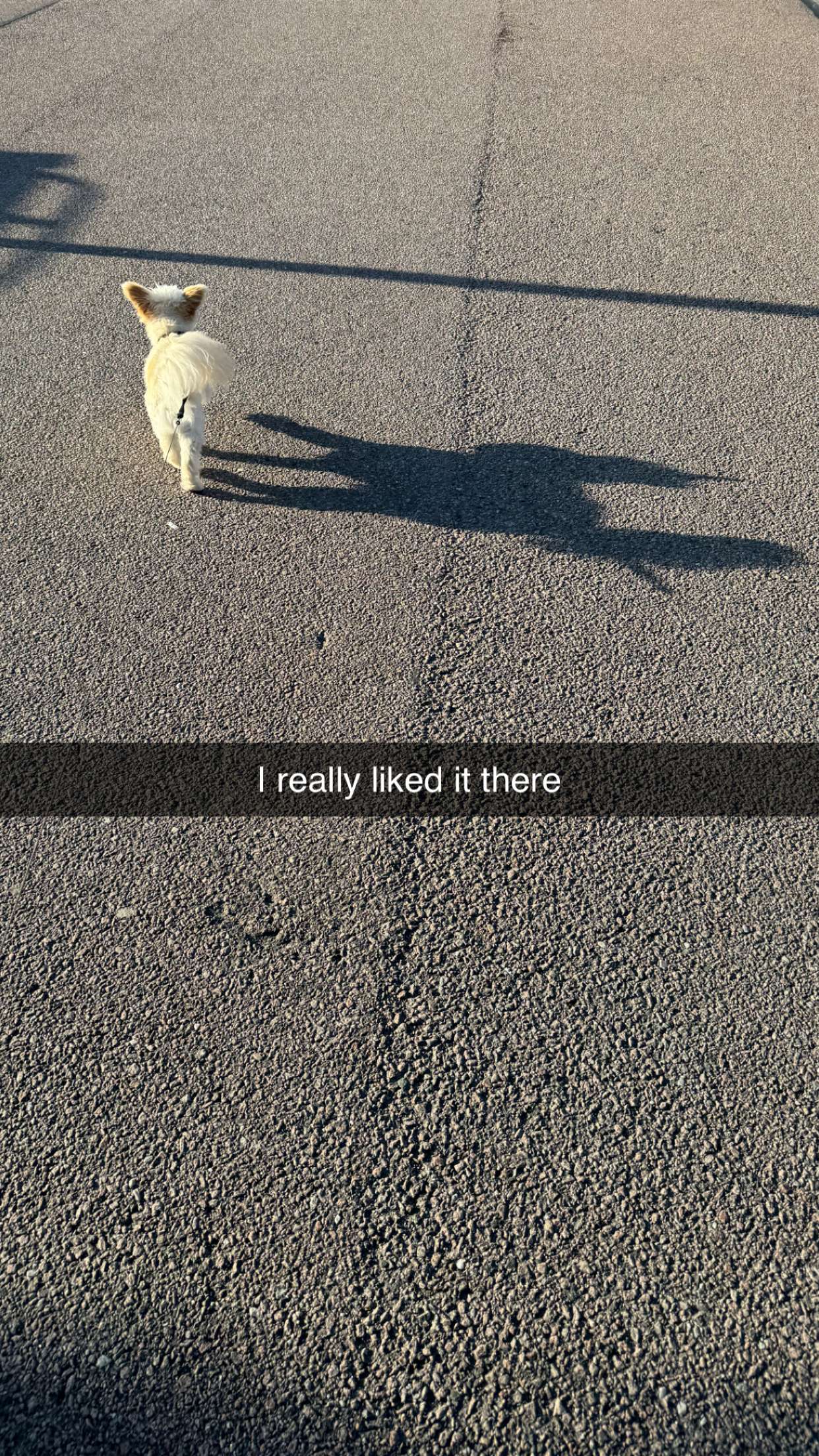 mathilda_bergs snapchat image archive image