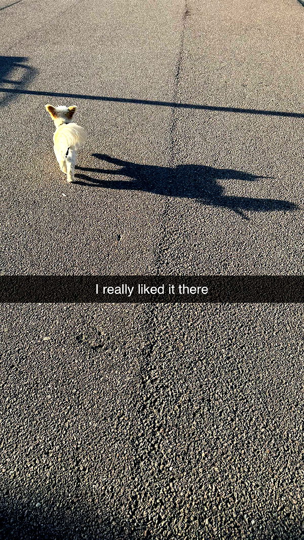 mathilda_bergs image ~ Altpins