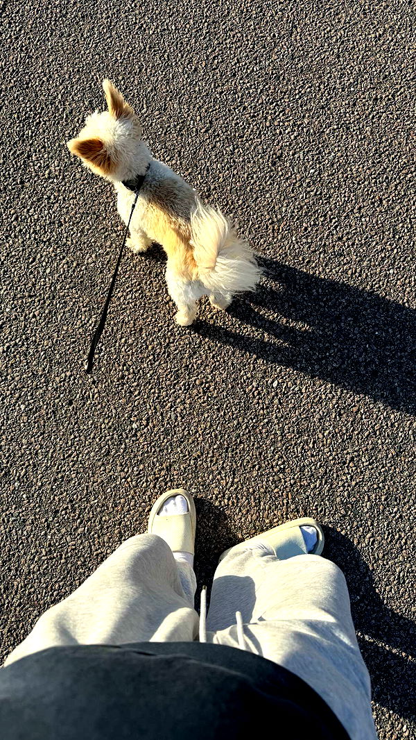 mathilda_bergs image ~ Altpins