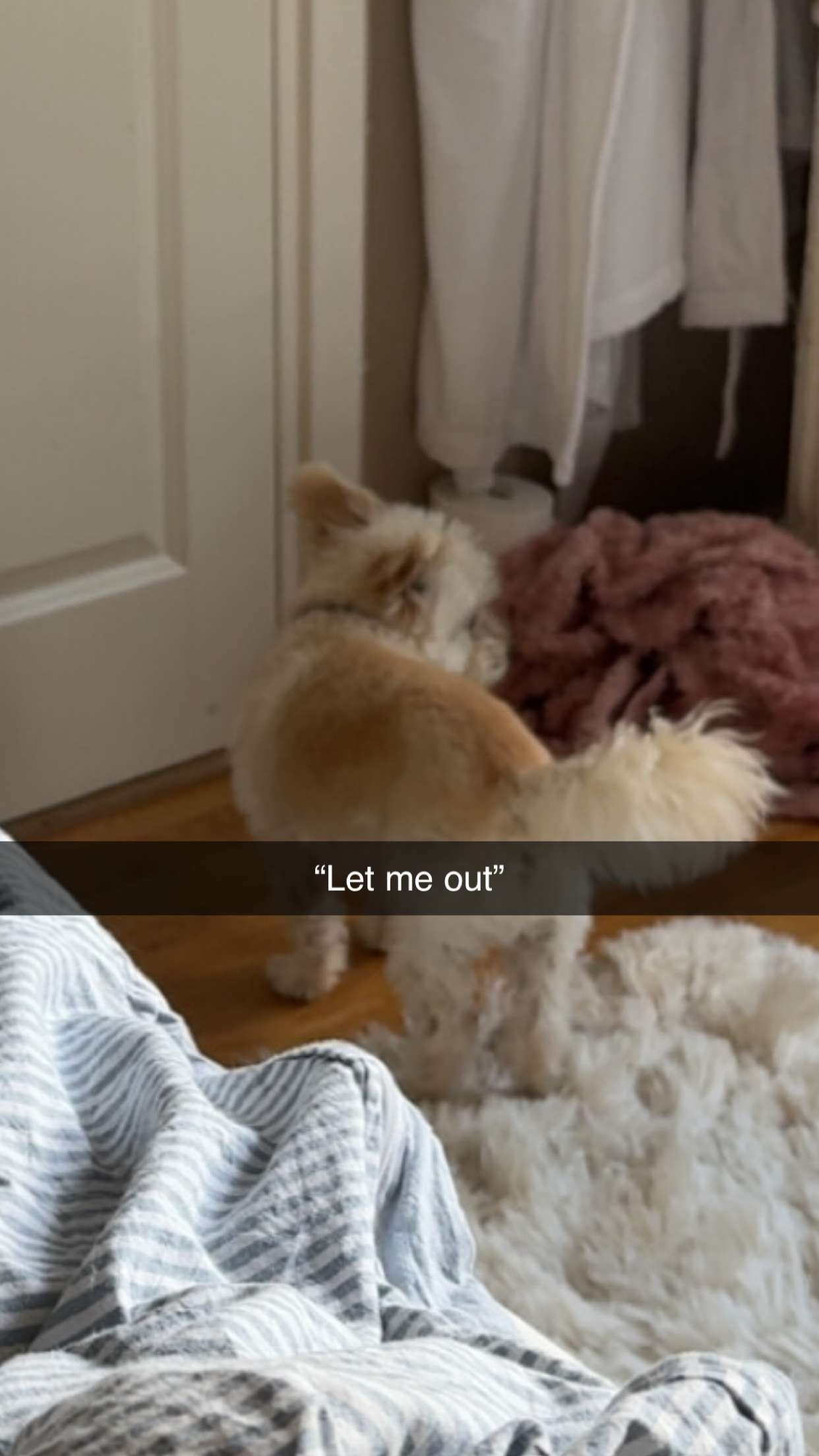 mathilda_bergs snapchat image archive image