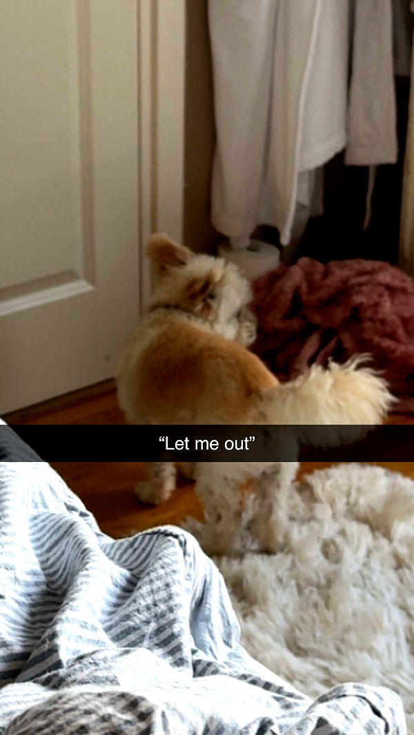 mathilda_bergs image ~ Altpins