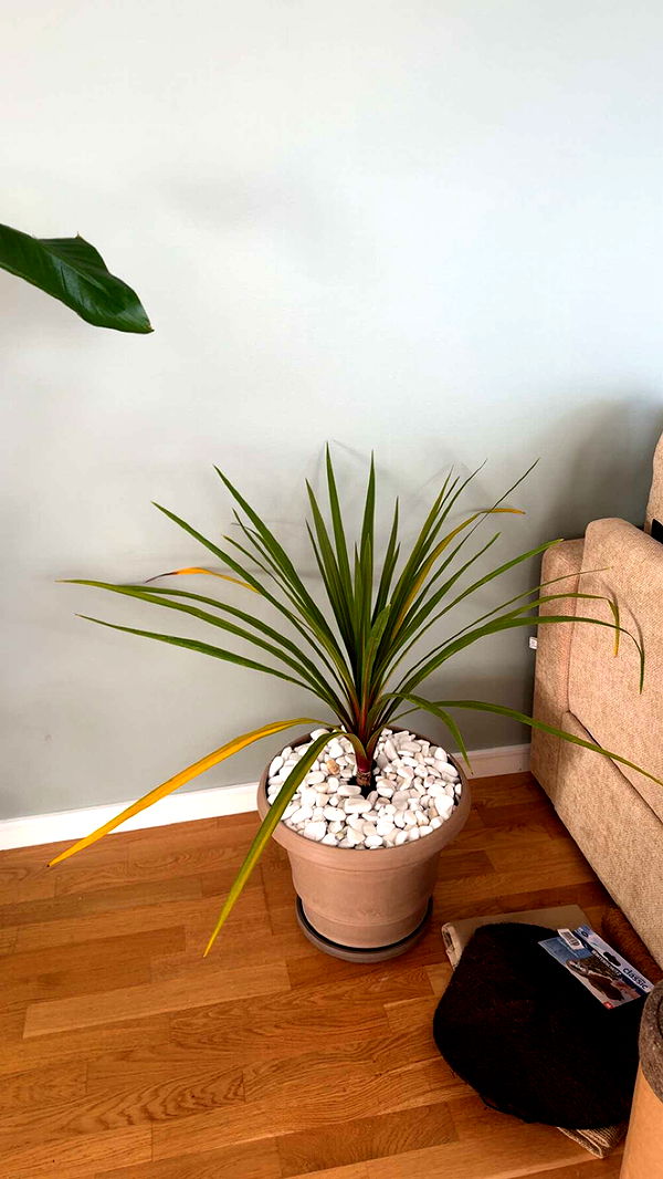 mathilda_bergs image ~ Altpins