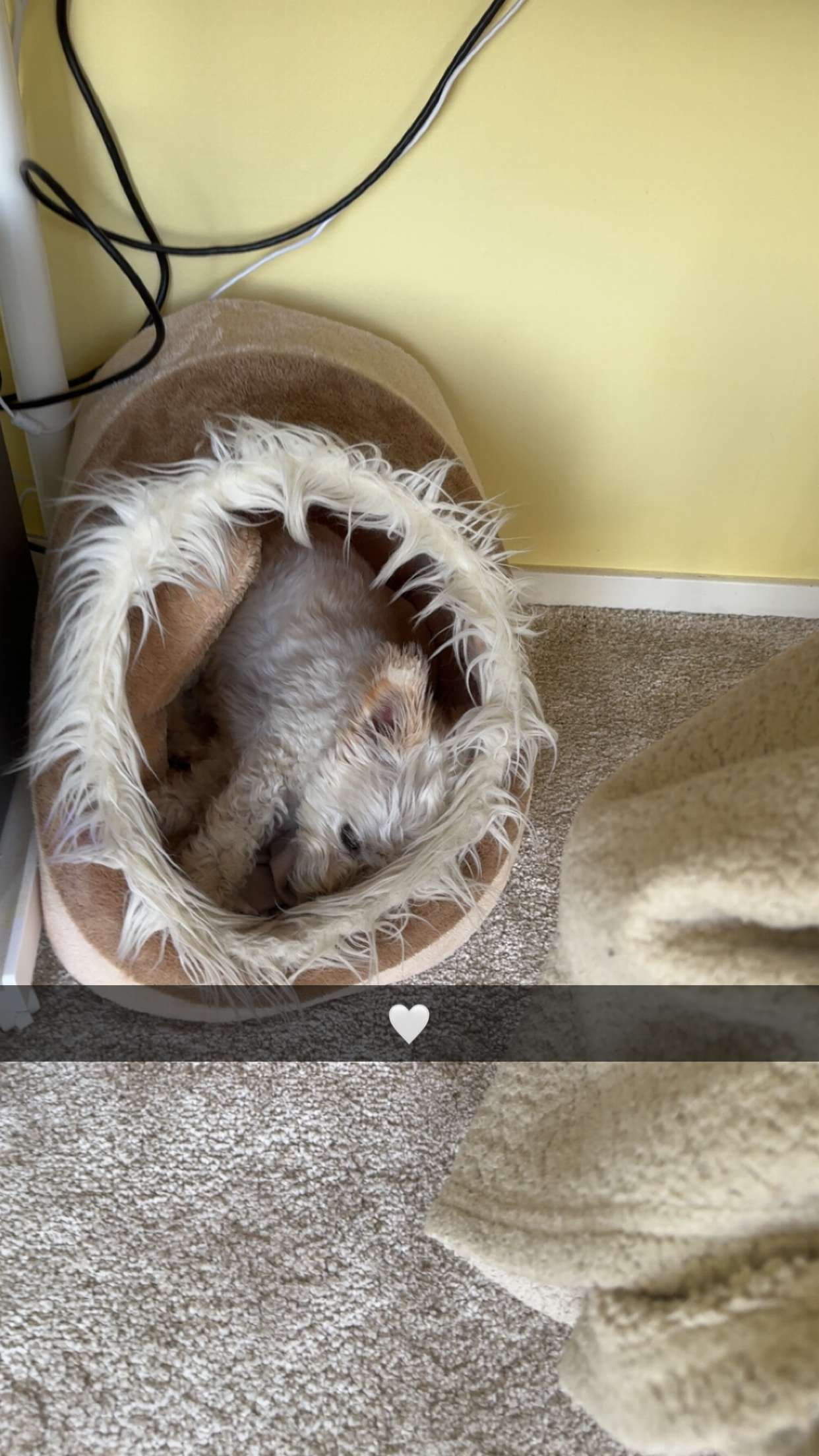 mathilda_bergs snapchat image archive image