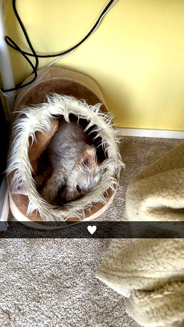 mathilda_bergs image ~ Altpins