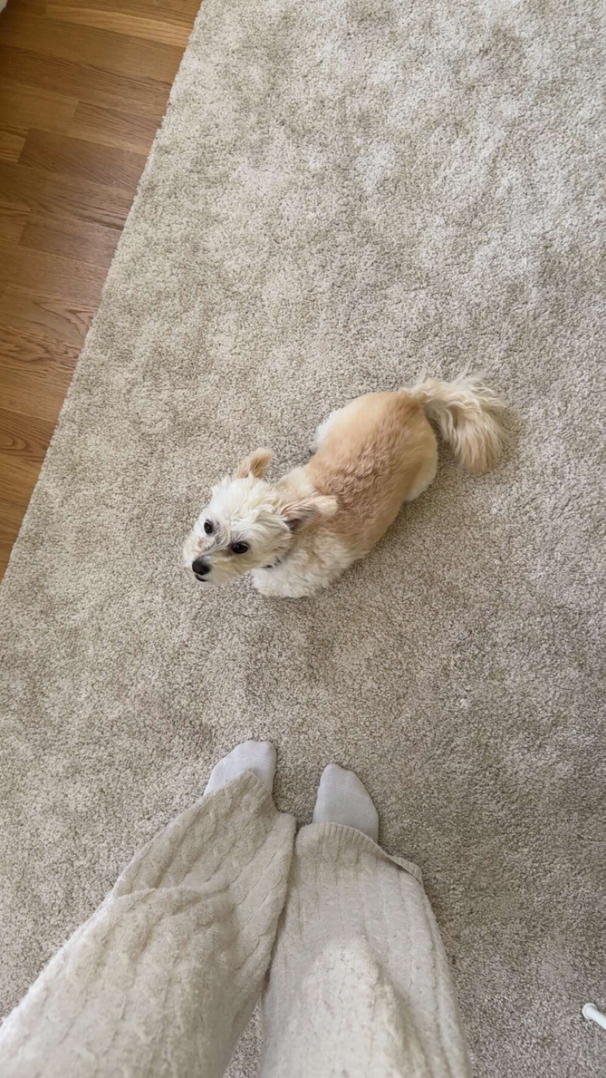 mathilda_bergs snapchat image archive image