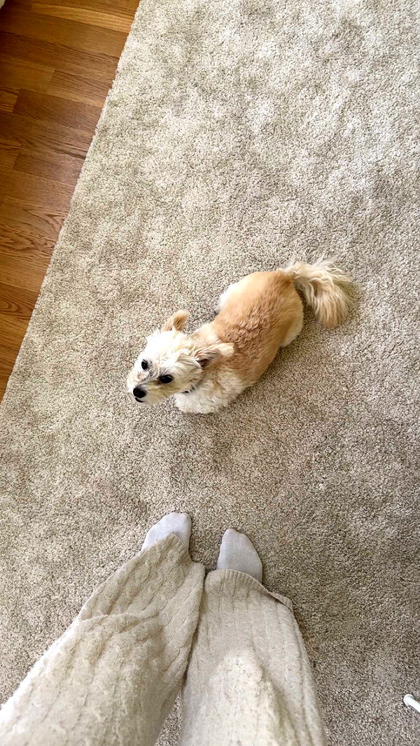 mathilda_bergs image ~ Altpins