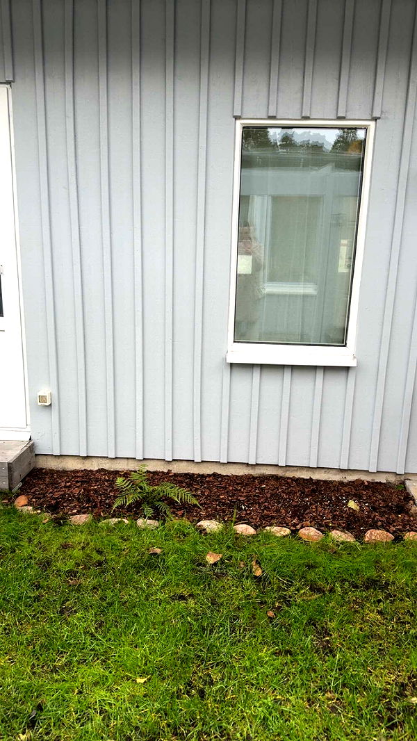 mathilda_bergs image ~ Altpins