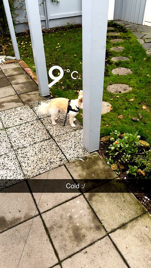 mathilda_bergs image ~ Altpins