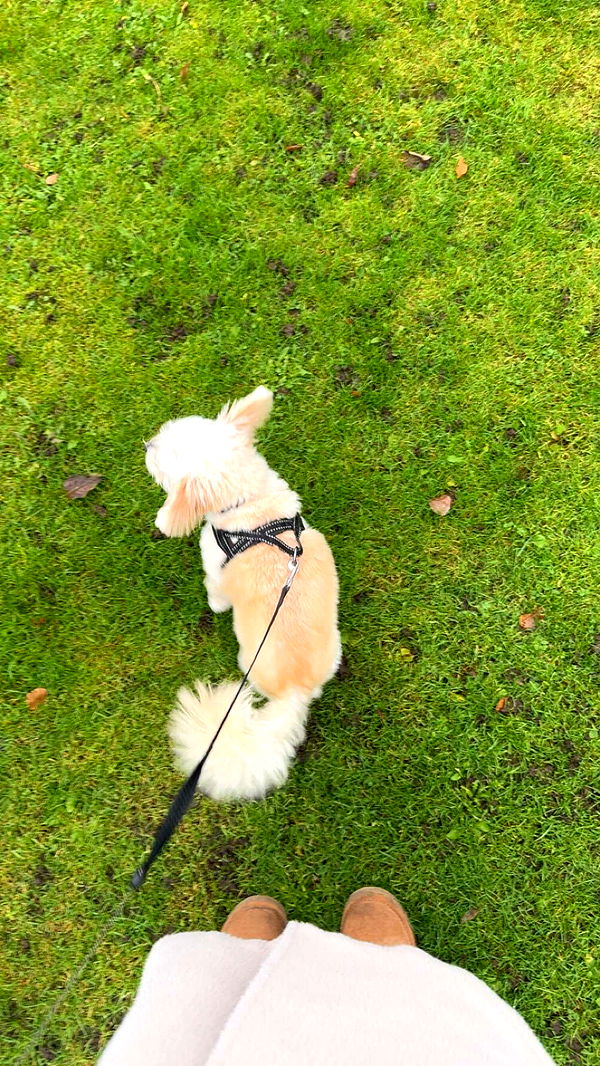 mathilda_bergs image ~ Altpins