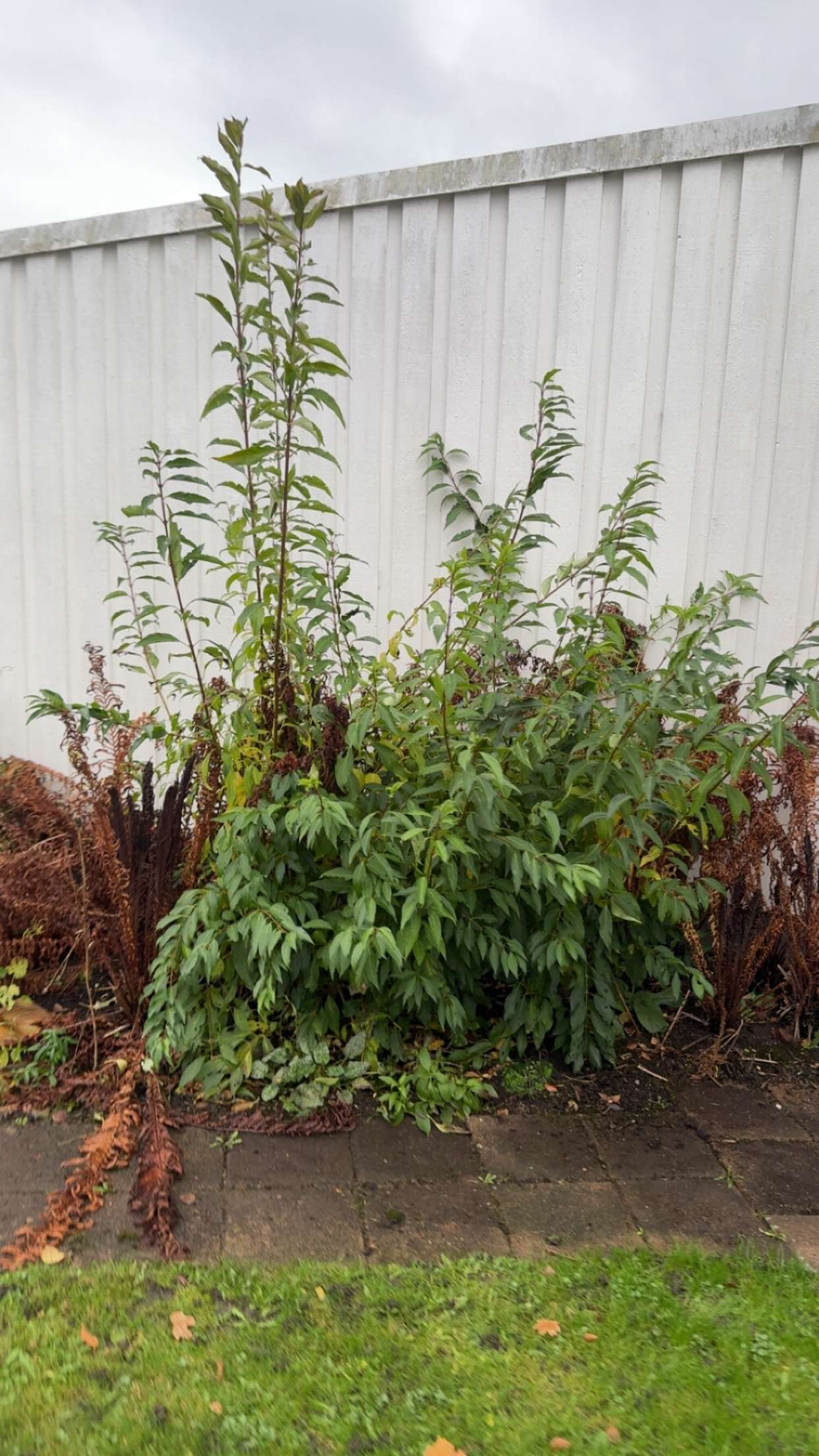 mathilda_bergs snapchat image archive image