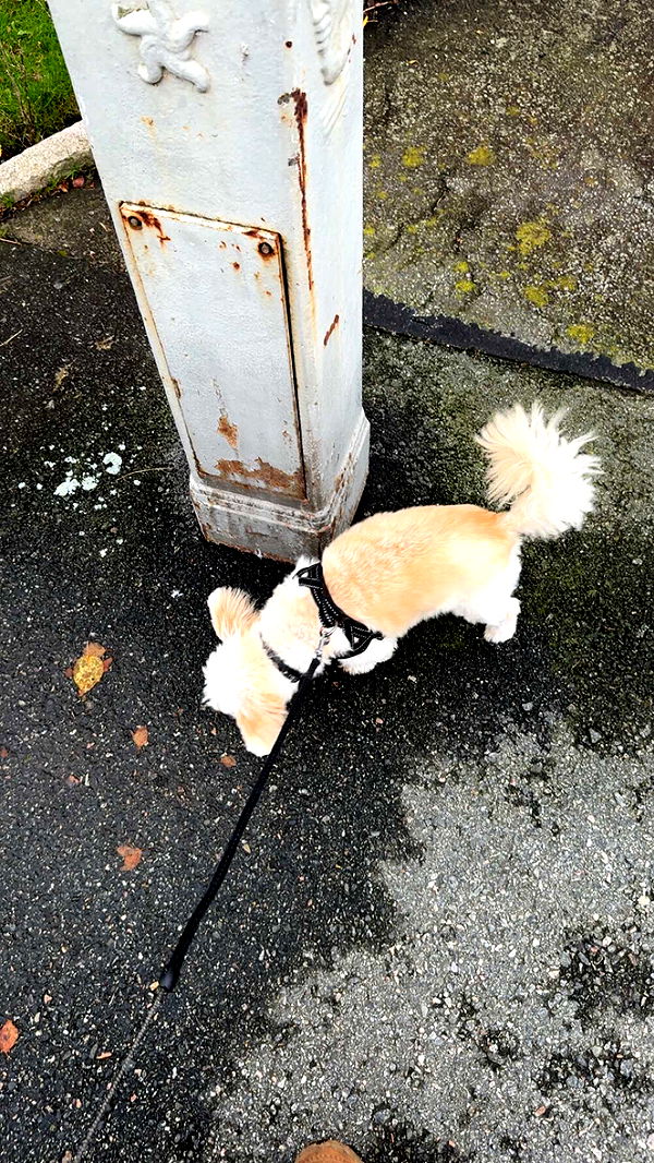 mathilda_bergs image ~ Altpins