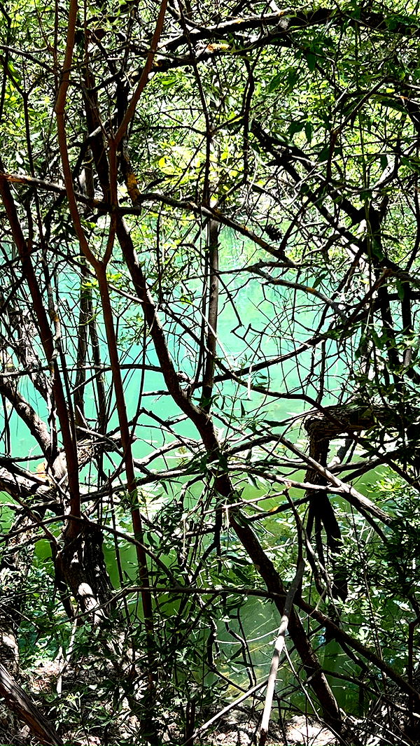 mathilda_bergs image ~ Altpins