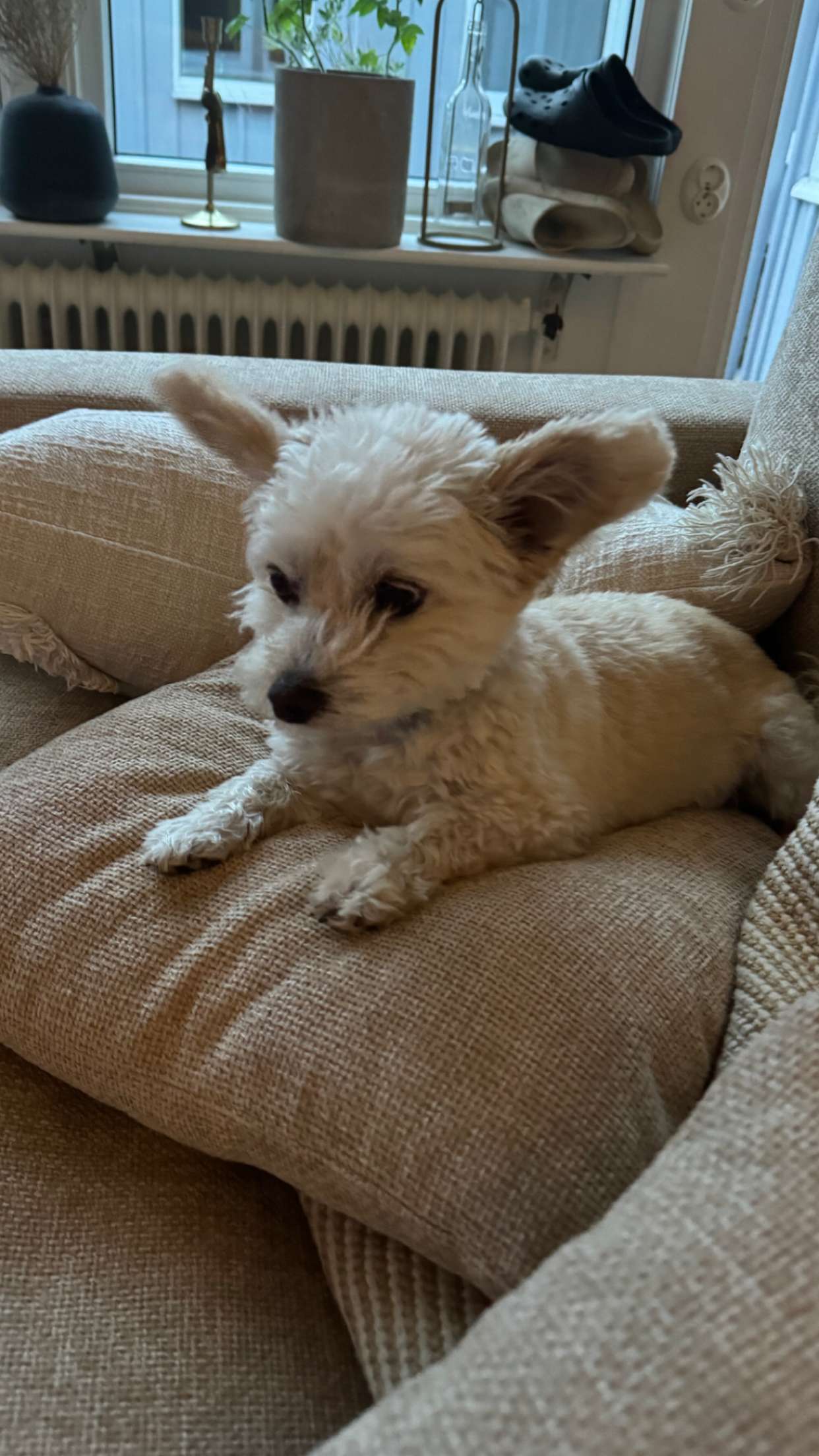 mathilda_bergs snapchat image archive image