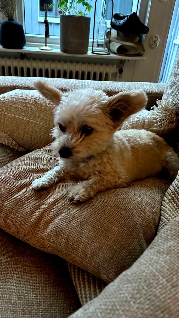 mathilda_bergs image ~ Altpins