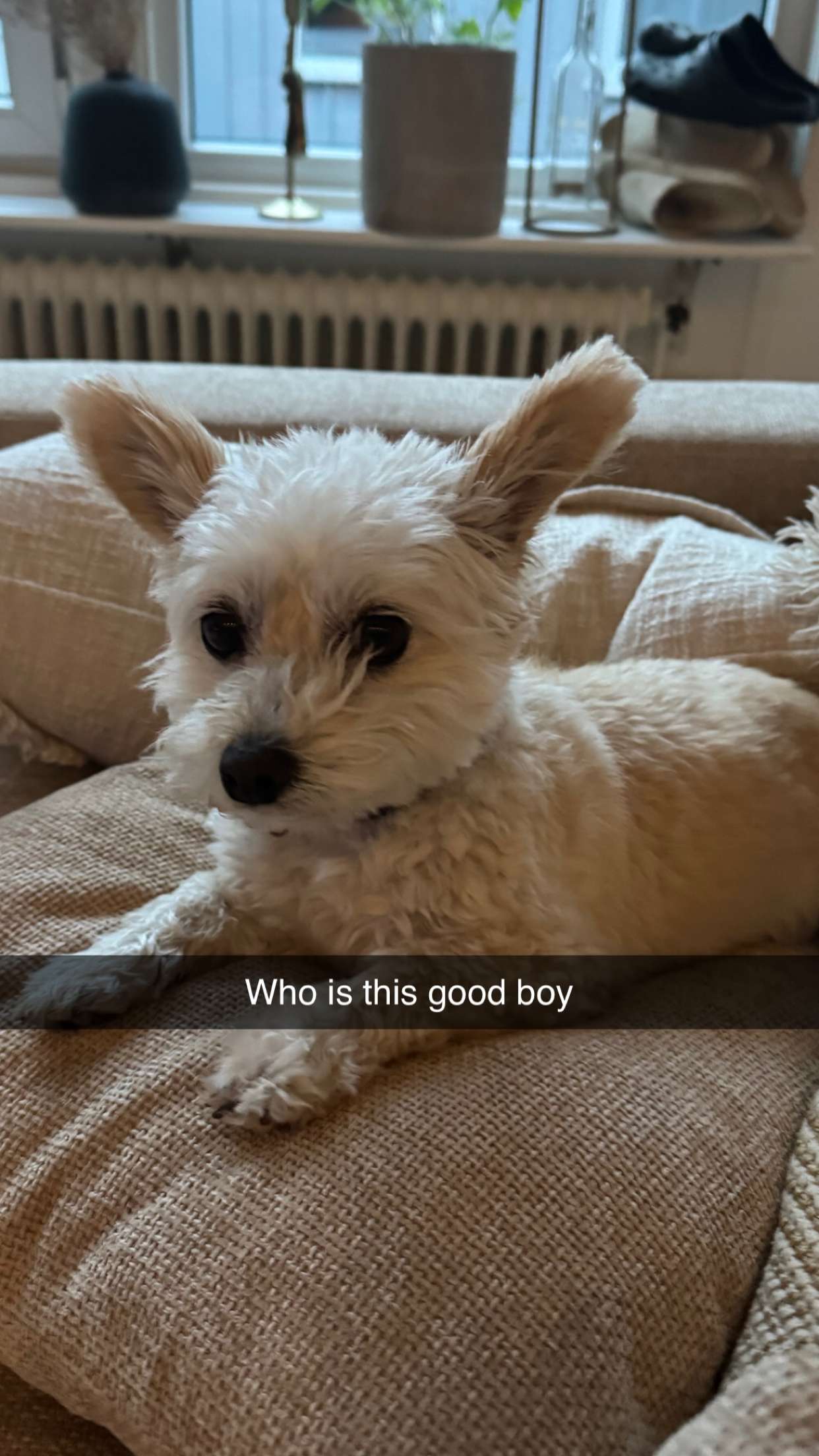 mathilda_bergs snapchat image archive image