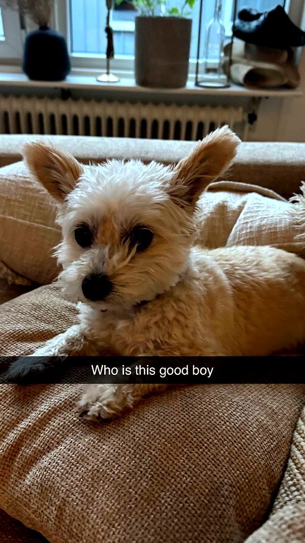 mathilda_bergs image ~ Altpins