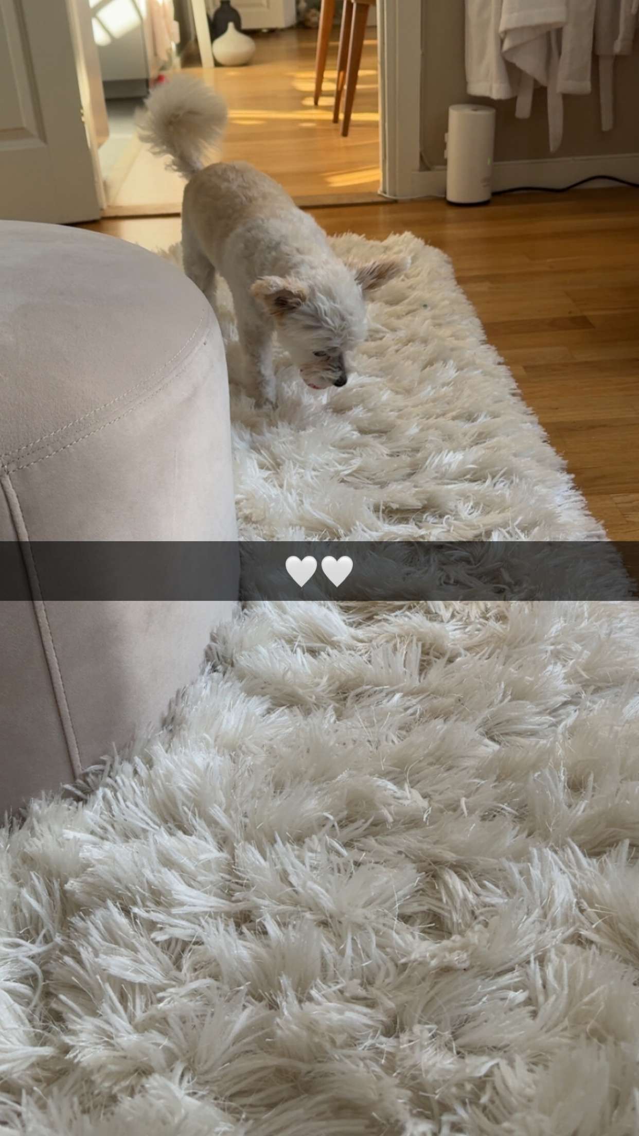 mathilda_bergs snapchat image archive image