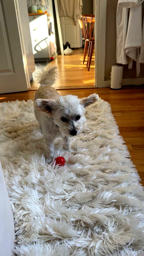 mathilda_bergs image ~ Altpins