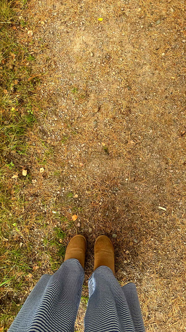 mathilda_bergs image ~ Altpins