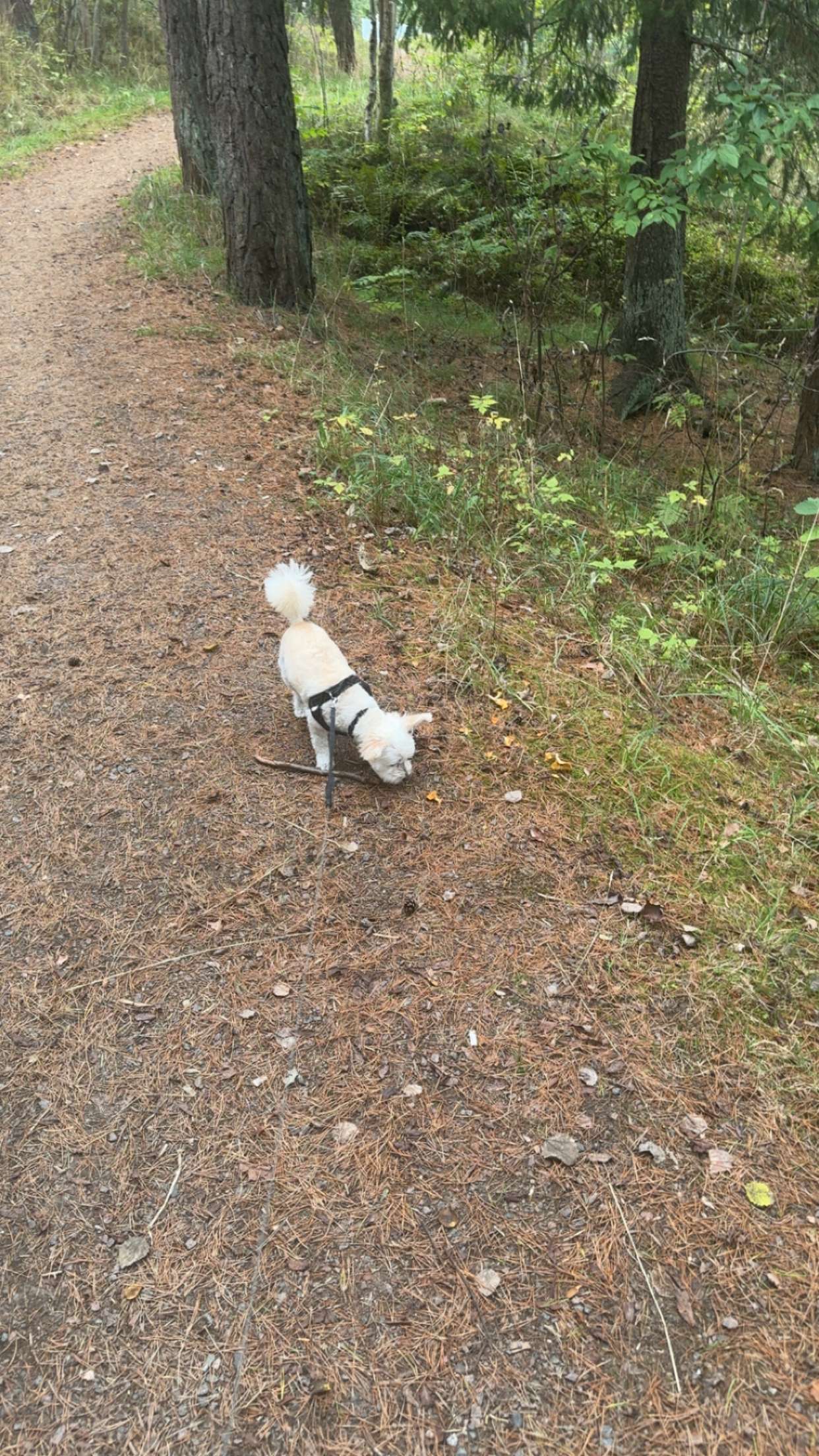 mathilda_bergs snapchat image archive image