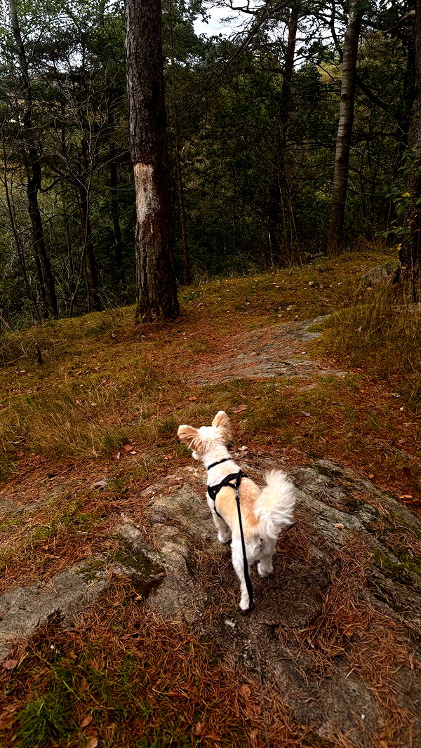 mathilda_bergs image ~ Altpins