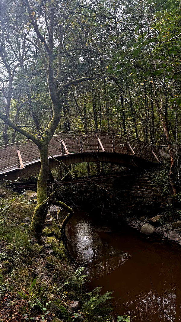 mathilda_bergs image ~ Altpins