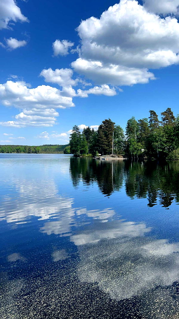 mathilda_bergs image ~ Altpins