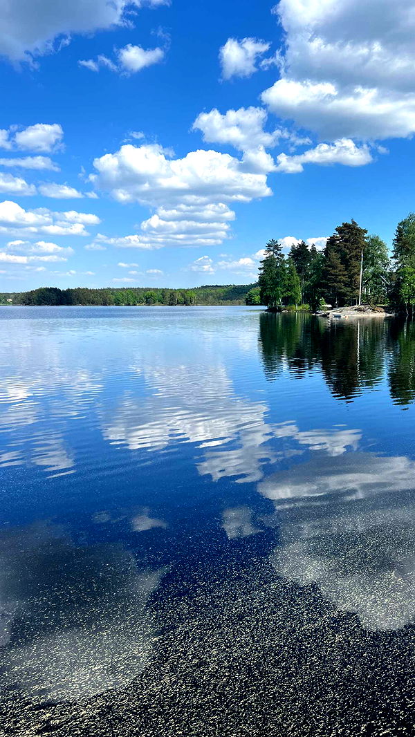 mathilda_bergs image ~ Altpins