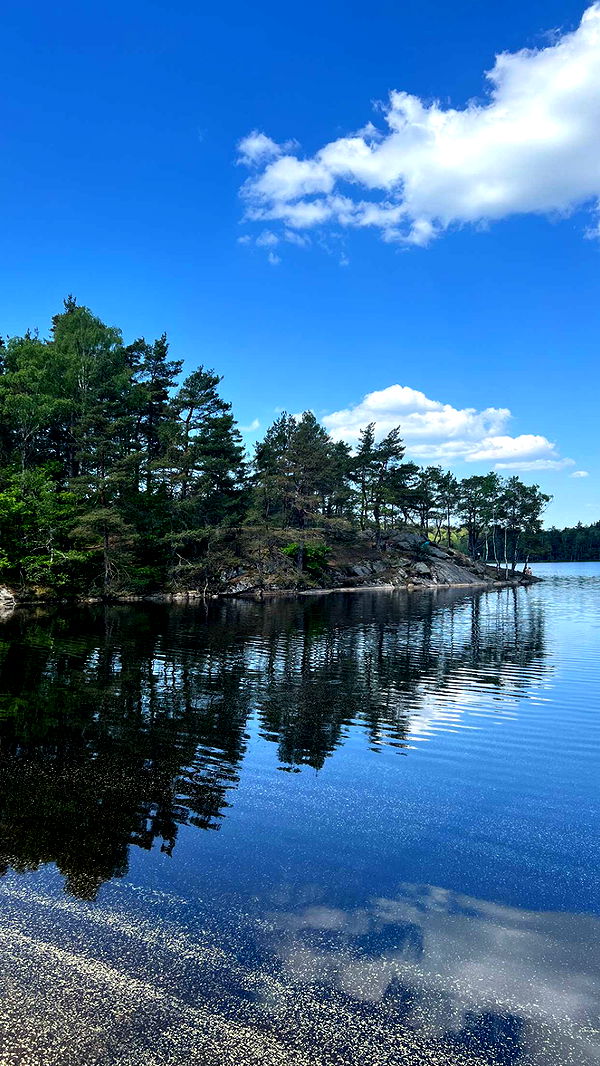 mathilda_bergs image ~ Altpins