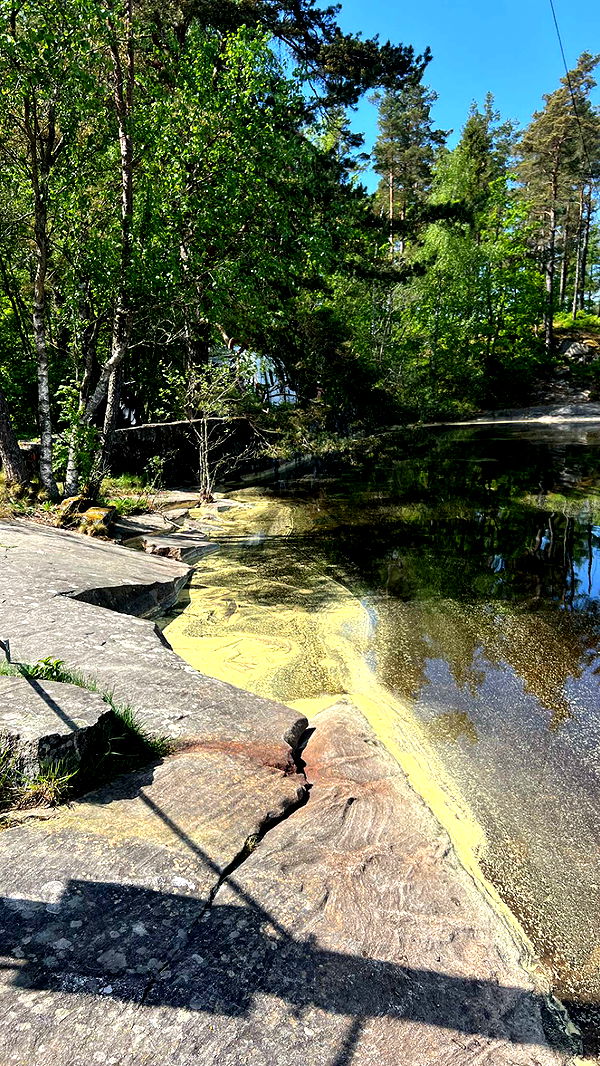 mathilda_bergs image ~ Altpins