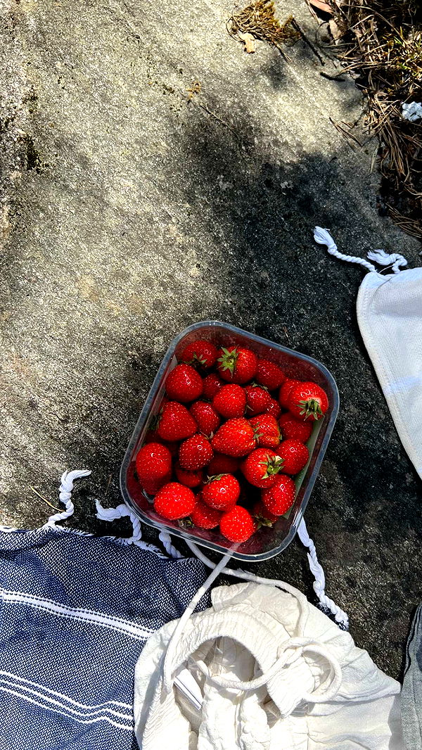 mathilda_bergs image ~ Altpins