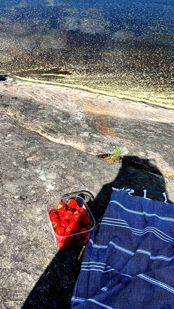 mathilda_bergs image ~ Altpins