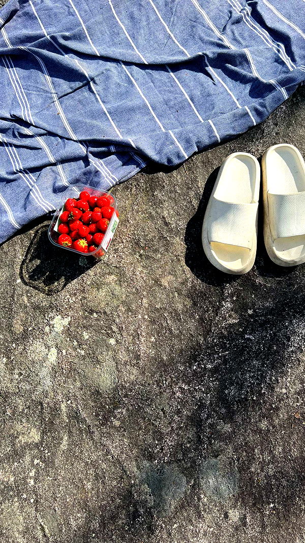 mathilda_bergs image ~ Altpins