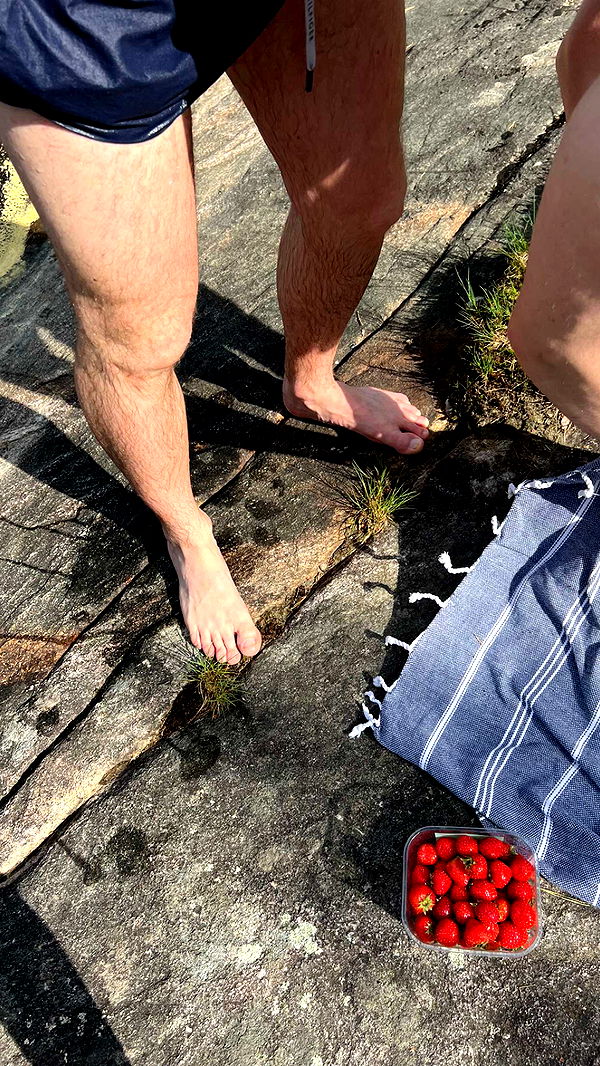 mathilda_bergs image ~ Altpins