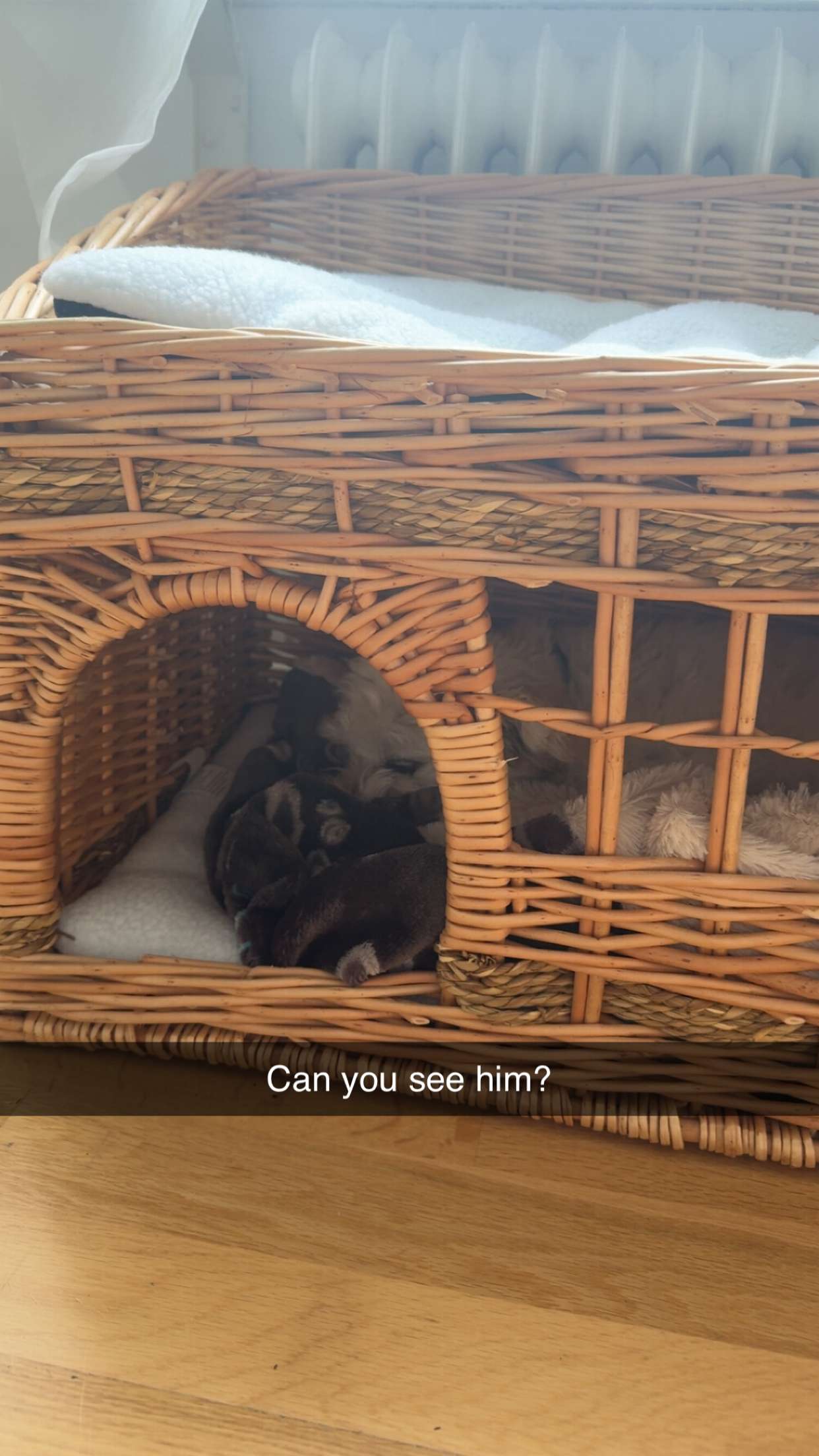 mathilda_bergs snapchat image archive image