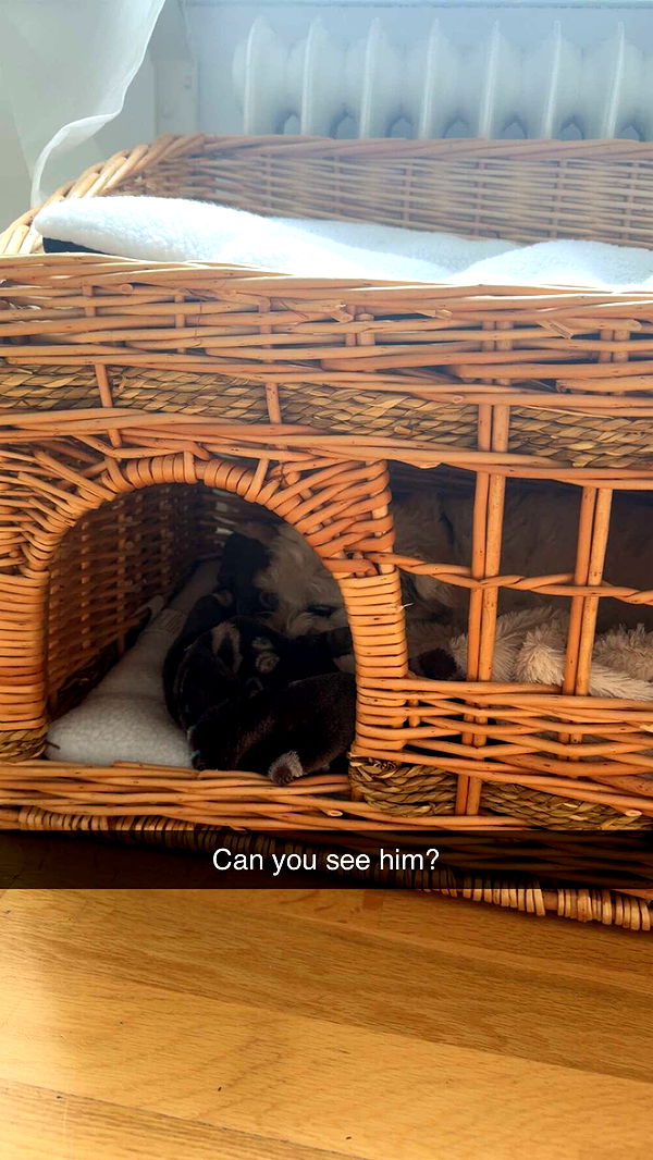 mathilda_bergs image ~ Altpins