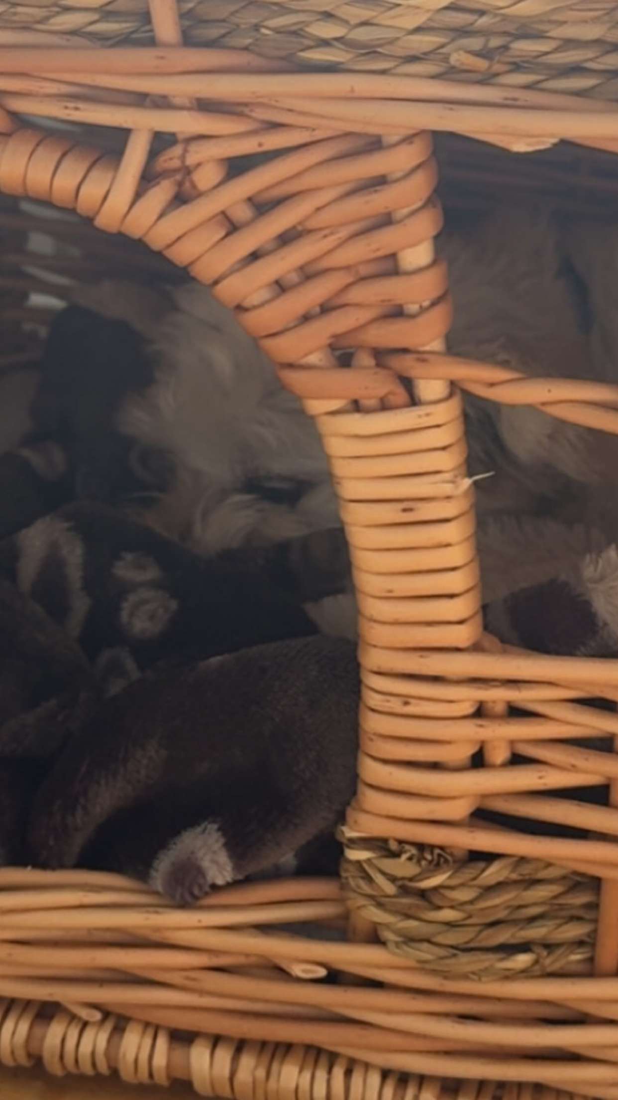 mathilda_bergs snapchat image archive image