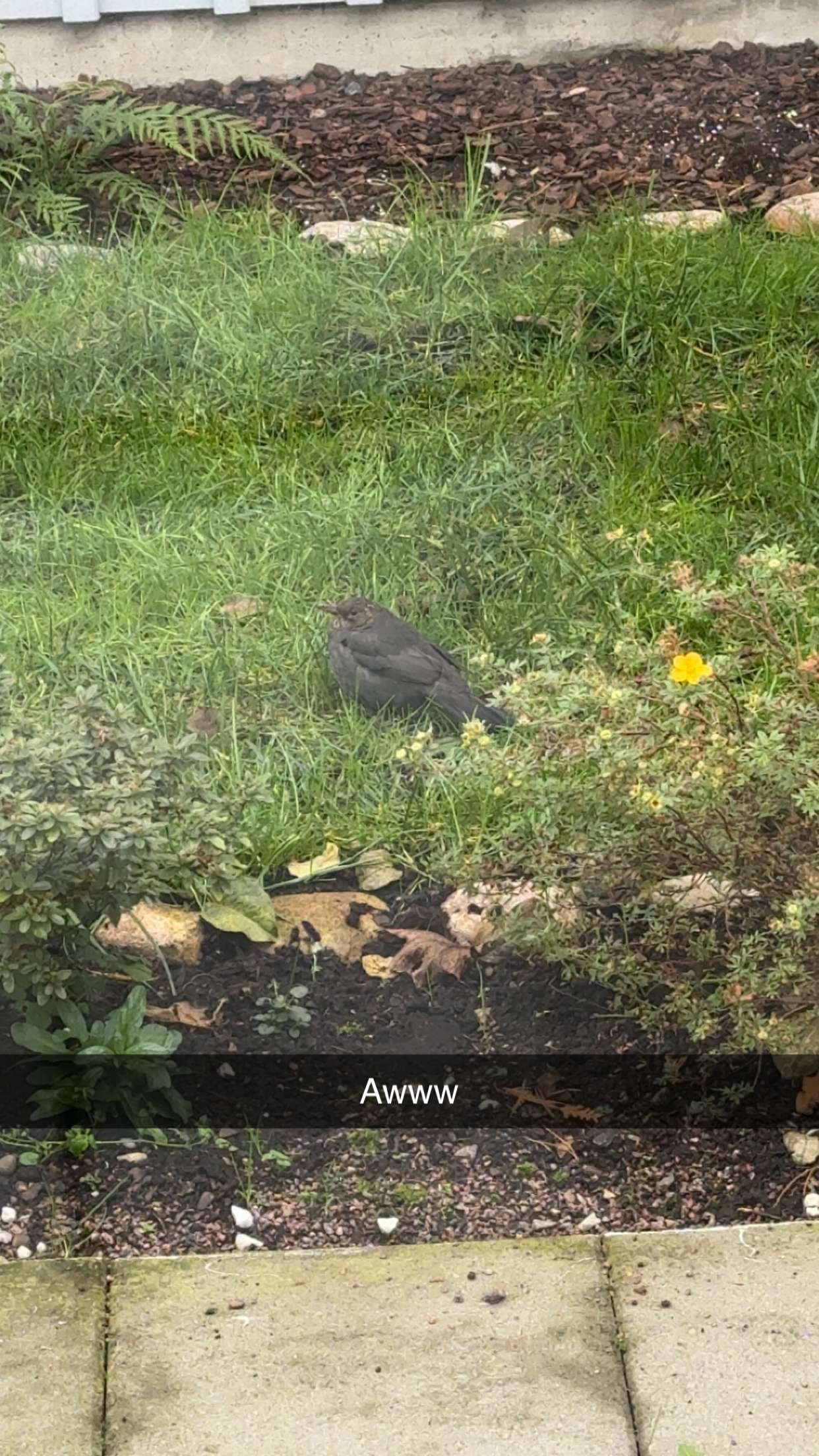 mathilda_bergs snapchat image archive image