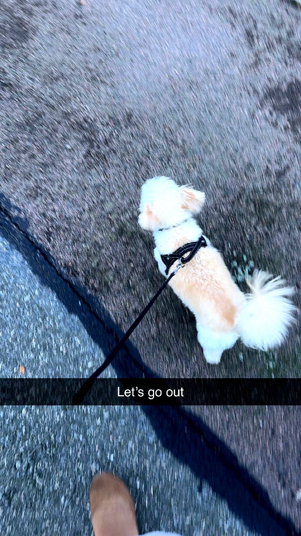 mathilda_bergs image ~ Altpins