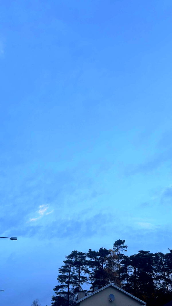 mathilda_bergs image ~ Altpins