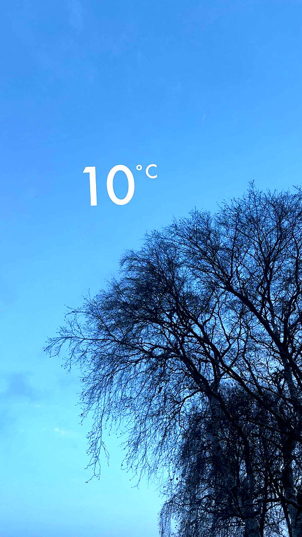 mathilda_bergs image ~ Altpins