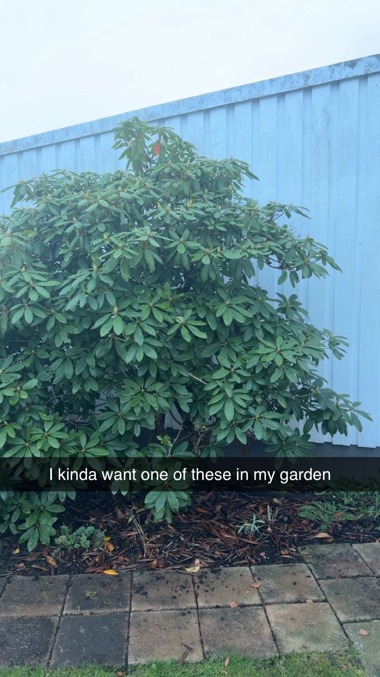 mathilda_bergs snapchat image archive image