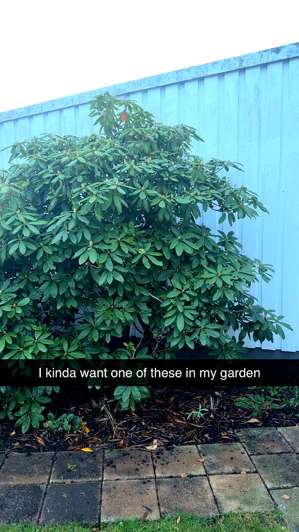 mathilda_bergs image ~ Altpins