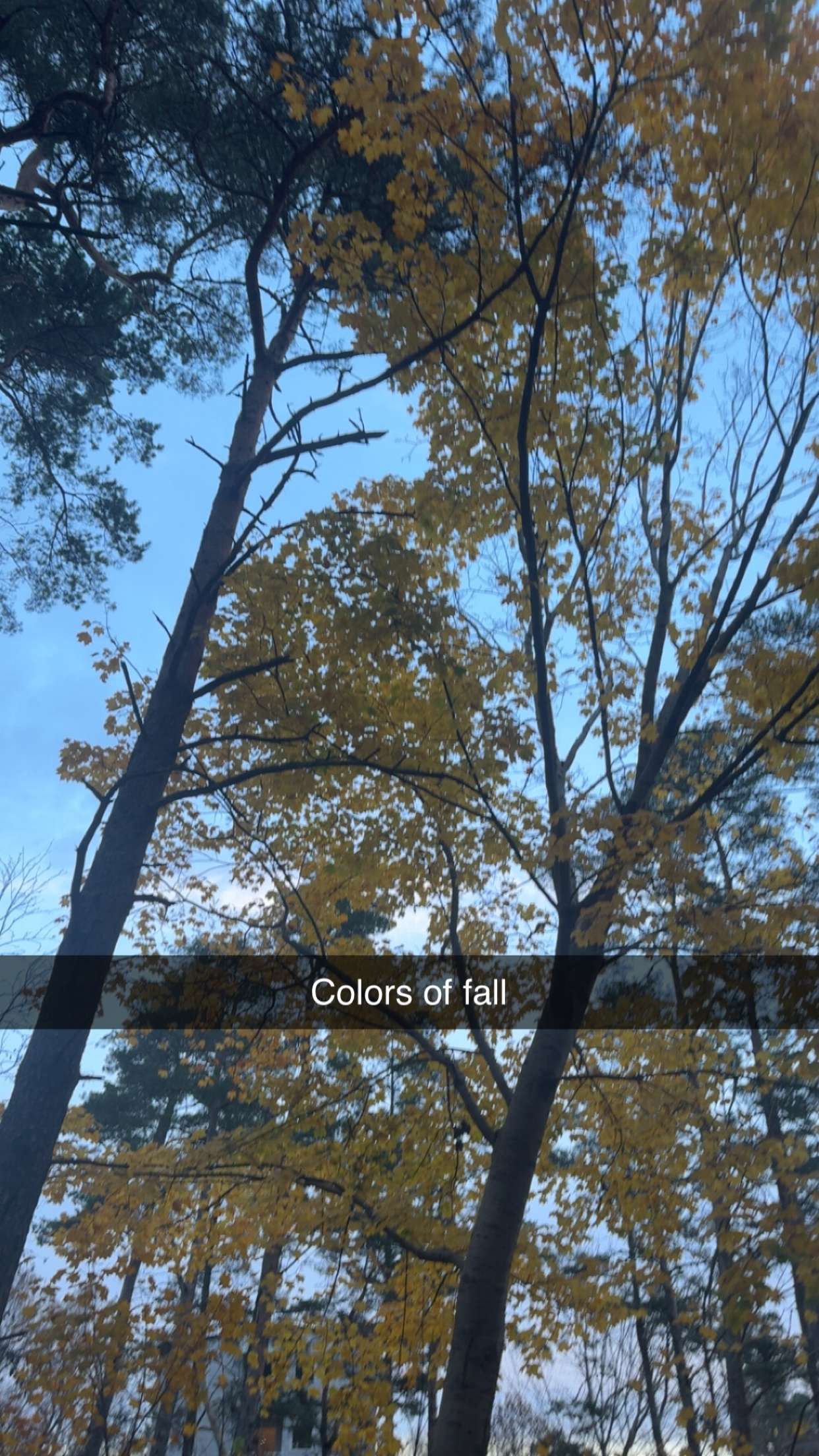 mathilda_bergs snapchat image archive image